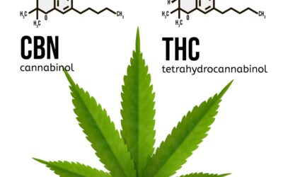 The Power of the Potent Pair: Unlocking the Benefits of CBD and THC Together